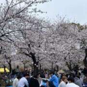 ヒメ日記 2025/04/02 17:33 投稿 まこ ごほうびSPA名古屋店