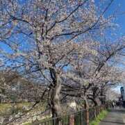 ヒメ日記 2025/04/03 18:23 投稿 まこ ごほうびSPA名古屋店