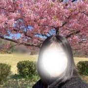 ヒメ日記 2025/04/03 22:21 投稿 まこ ごほうびSPA名古屋店