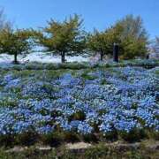 ヒメ日記 2025/04/10 21:51 投稿 まこ ごほうびSPA名古屋店