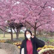 ヒメ日記 2026/03/03 00:28 投稿 まこ ごほうびSPA名古屋店