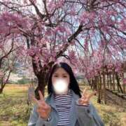 ヒメ日記 2026/04/06 12:08 投稿 まこ ごほうびSPA名古屋店