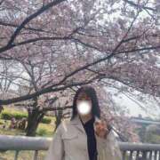 ヒメ日記 2026/04/19 11:48 投稿 まこ ごほうびSPA名古屋店