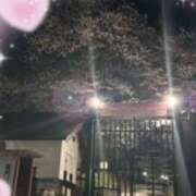 ヒメ日記 2025/04/07 23:02 投稿 桐谷真衣 五十路マダム愛されたい熟女たち 津山店