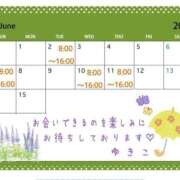 ヒメ日記 2026/05/20 16:54 投稿 ゆきこ 神戸3040（神戸サーティフォーティ）