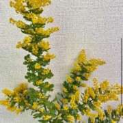 ヒメ日記 2026/03/08 17:04 投稿 ここ 神戸3040（神戸サーティフォーティ）