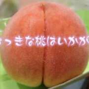 ヒメ日記 2026/08/21 06:24 投稿 ここ 神戸3040（神戸サーティフォーティ）
