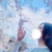 ヒメ日記 2025/04/13 12:04 投稿 みすず 40分7600円 回春性感メンズエステ猫の手 岐阜／岐南