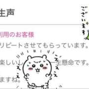 ヒメ日記 2025/02/05 12:10 投稿 ひより 奥鉄オクテツ大阪