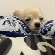 ヒメ日記 2025/09/23 22:45 投稿 ひより 奥鉄オクテツ大阪