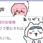 ヒメ日記 2025/02/05 12:05 投稿 ひより 奥鉄オクテツ兵庫