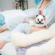 ヒメ日記 2025/07/26 09:40 投稿 ひより 奥鉄オクテツ奈良