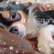 ヒメ日記 2025/07/29 09:45 投稿 ひより 奥鉄オクテツ奈良