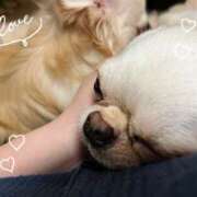 ヒメ日記 2025/10/18 22:20 投稿 ひより 奥鉄オクテツ奈良