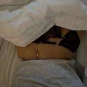 ヒメ日記 2024/12/08 21:58 投稿 かれん 藤沢人妻城