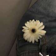 ヒメ日記 2026/04/24 11:10 投稿 かれん 藤沢人妻城