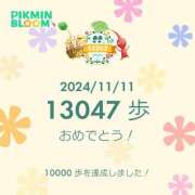 ヒメ日記 2024/11/11 22:03 投稿 ちい しろうと娘