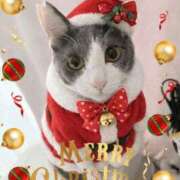 ヒメ日記 2025/12/25 21:00 投稿 Mrs．ひな 禁断のMrs.CLUB