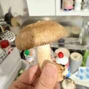 ヒメ日記 2026/02/26 21:50 投稿 Mrs．ひな 禁断のMrs.CLUB