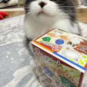 ヒメ日記 2026/03/26 09:20 投稿 Mrs．ひな 禁断のMrs.CLUB