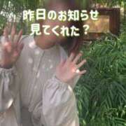 ヒメ日記 2025/05/13 12:34 投稿 ちふゆ 40分7600円 回春性感メンズエステ猫の手 名古屋駅／納屋橋