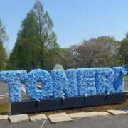 ヒメ日記 2025/04/20 08:17 投稿 浅宮ゆり 熟女デリヘル倶楽部