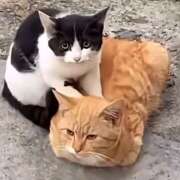 ヒメ日記 2025/09/26 20:12 投稿 浅宮ゆり 熟女デリヘル倶楽部