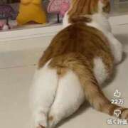 ヒメ日記 2025/10/14 19:34 投稿 浅宮ゆり 熟女デリヘル倶楽部