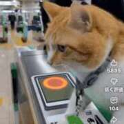 ヒメ日記 2025/10/22 20:46 投稿 浅宮ゆり 熟女デリヘル倶楽部