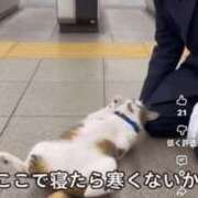 ヒメ日記 2025/10/23 19:44 投稿 浅宮ゆり 熟女デリヘル倶楽部