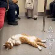 ヒメ日記 2025/10/28 19:13 投稿 浅宮ゆり 熟女デリヘル倶楽部