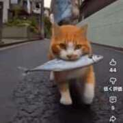 ヒメ日記 2025/10/29 20:31 投稿 浅宮ゆり 熟女デリヘル倶楽部