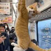 ヒメ日記 2025/10/30 19:40 投稿 浅宮ゆり 熟女デリヘル倶楽部