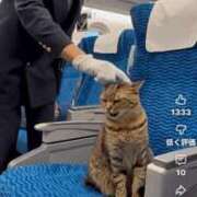 ヒメ日記 2025/11/04 20:55 投稿 浅宮ゆり 熟女デリヘル倶楽部