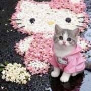 ヒメ日記 2025/11/09 18:56 投稿 浅宮ゆり 熟女デリヘル倶楽部