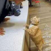 ヒメ日記 2025/11/16 19:40 投稿 浅宮ゆり 熟女デリヘル倶楽部