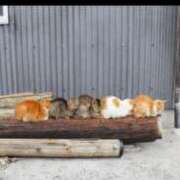 ヒメ日記 2025/11/18 20:12 投稿 浅宮ゆり 熟女デリヘル倶楽部