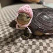 ヒメ日記 2025/11/20 18:57 投稿 浅宮ゆり 熟女デリヘル倶楽部