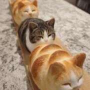 ヒメ日記 2025/11/26 19:18 投稿 浅宮ゆり 熟女デリヘル倶楽部