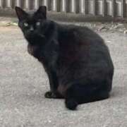 ヒメ日記 2025/11/27 19:05 投稿 浅宮ゆり 熟女デリヘル倶楽部