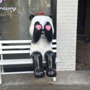 ヒメ日記 2025/12/23 21:46 投稿 浅宮ゆり 熟女デリヘル倶楽部