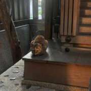 ヒメ日記 2025/12/25 20:10 投稿 浅宮ゆり 熟女デリヘル倶楽部