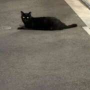 ヒメ日記 2026/01/11 20:33 投稿 浅宮ゆり 熟女デリヘル倶楽部