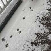 ヒメ日記 2026/02/18 20:03 投稿 浅宮ゆり 熟女デリヘル倶楽部