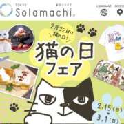 浅宮ゆり 😺猫の日(*ΦωΦ*) 熟女デリヘル倶楽部