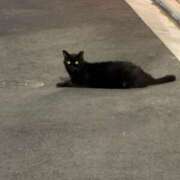 ヒメ日記 2026/03/03 19:57 投稿 浅宮ゆり 熟女デリヘル倶楽部