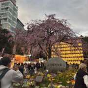 ヒメ日記 2026/03/19 20:19 投稿 浅宮ゆり 熟女デリヘル倶楽部