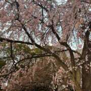 ヒメ日記 2026/03/29 22:18 投稿 浅宮ゆり 熟女デリヘル倶楽部