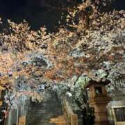 ヒメ日記 2026/03/30 21:51 投稿 浅宮ゆり 熟女デリヘル倶楽部