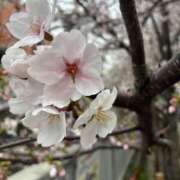 浅宮ゆり 御礼✨😍 熟女デリヘル倶楽部